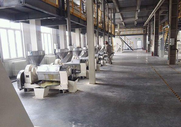 19年蘇丹100噸花生榨油